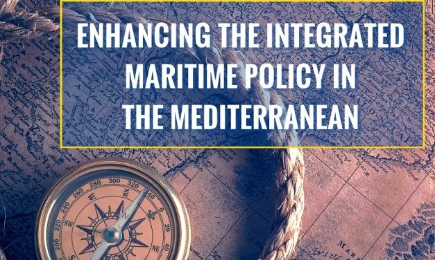 Video and Interviews of Midterm Conference of MarInA-Med