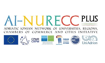 Selection Procedure: Service provider for AI-NURECC Plus initiative