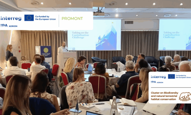 From Results to Uptake: ADRION Projects Gather in Rimini for the First Capitalisation Meeting, with AIE Representing the PROMONT Project